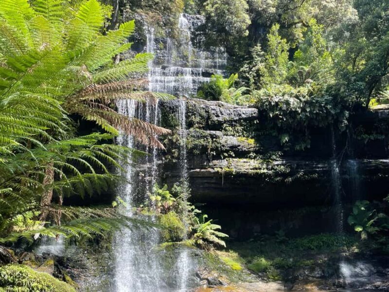 Mount Field National Park Russell Falls (6hr Private Tour) - Practical Details and Tips