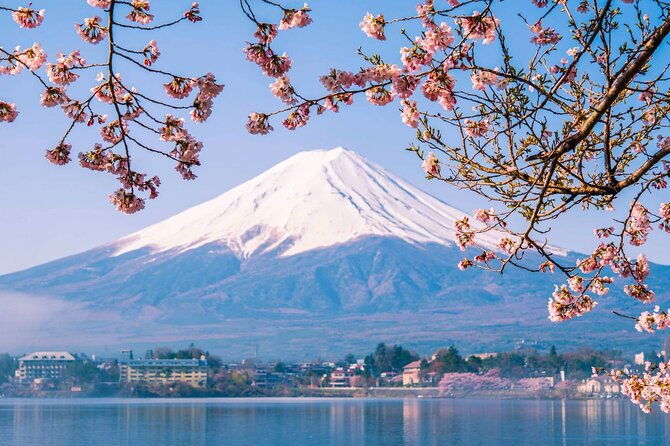mount-fuji-1-day-trip-kawaguchiko-ropeway-matcha-culture