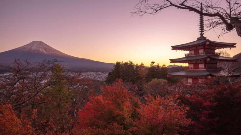 Mount Fuji 1-Day Trip: the Hottest Photography Tour - The Full Experience: What to Expect on the Tour