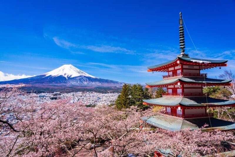 Mount Fuji 1-Day Trip: the Hottest Photography Tour - Who Would Love This Tour?