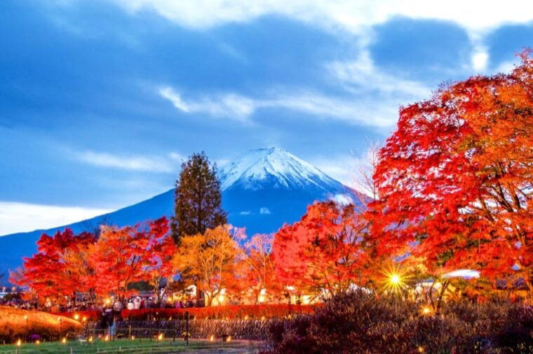mount-fuji-5th-station-oshino-hakkai-and-onsen-1-day-trip