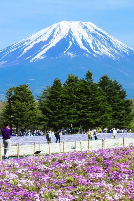 mount-fuji-5th-station-oshino-hakkai-and-onsen-1-day-trip