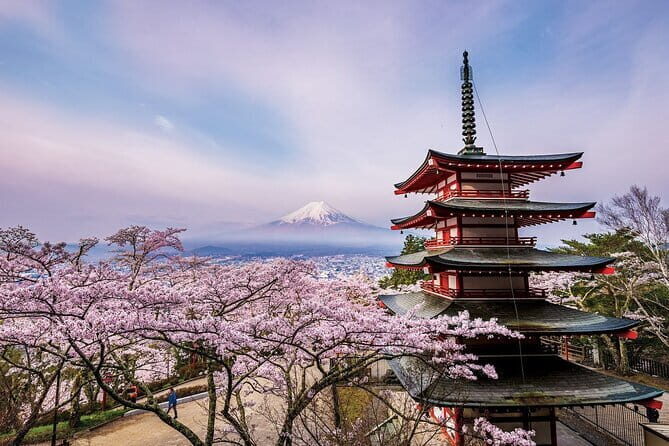Mount Fuji Adventure Tour from Tokyo with English Guide - The Sum Up: Who Will Love This Tour?