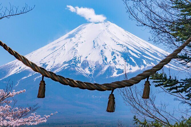 Mount Fuji and Gotemba Outlets Adventure Day Tour - Exploring the Itinerary: What You Can Expect