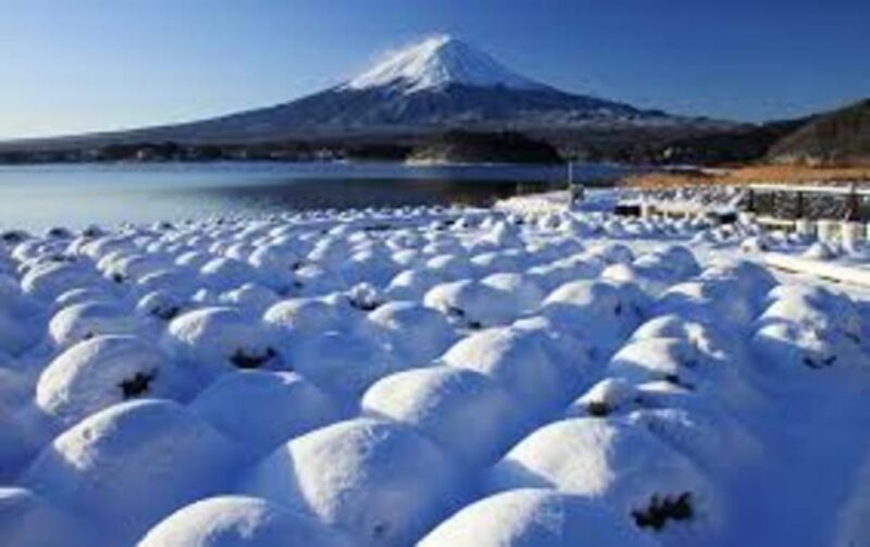 Mount Fuji and Hakone Day tour with English speaking Drivers - Transportation & Comfort