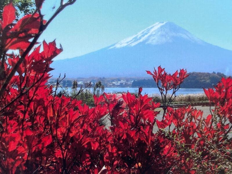 Mount fuji and Hakone day tour with English speaking guide - Who Will Love This Tour?