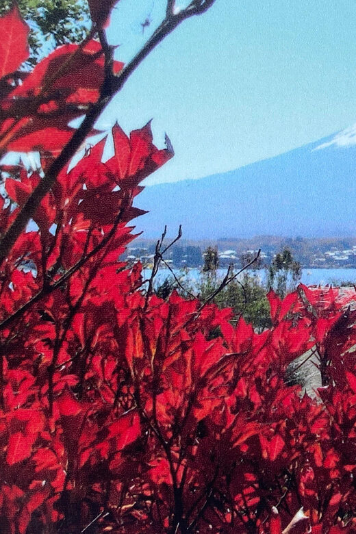 Mount fuji and Hakone day tour with English speaking guide - FAQ