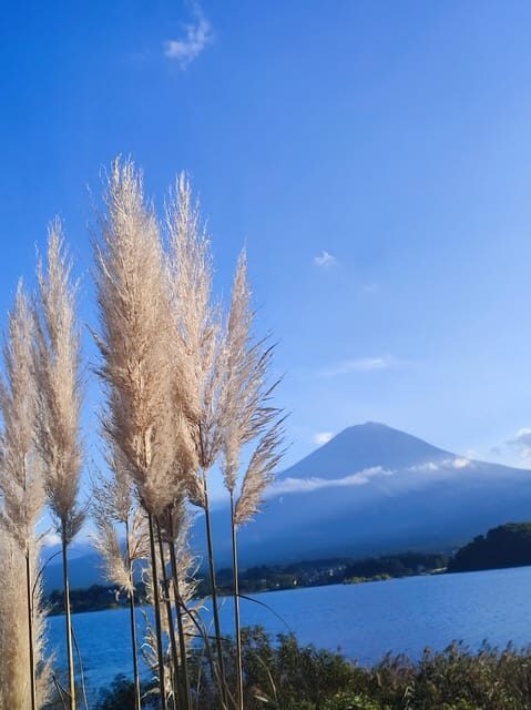 Mount Fuji and Hakone Full Day Private Sightseeing Tour - The Sum Up