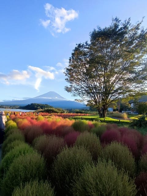 Mount Fuji and Hakone Full Day Private Sightseeing Tour - FAQ