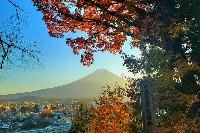 mount-fuji-and-hakone-full-day-private-sightseeing-tour
