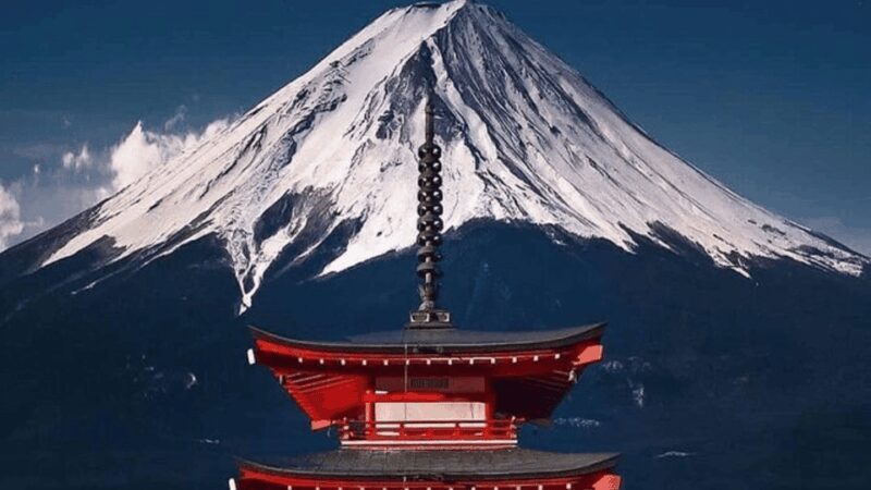 Mount fuji and Hakone full day private tour with English gui - Practical Details and Tips