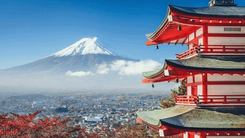 Mount fuji and Hakone full day private tour with English gui - Final Thoughts