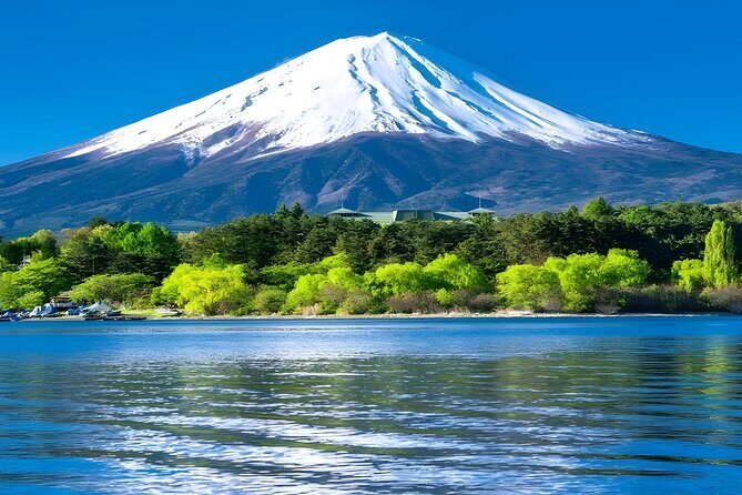 Mount Fuji and Hakone Private day trip from Tokyo - The Sum Up
