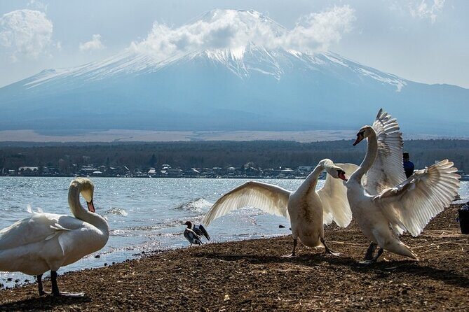 Mount Fuji and Hakone Private day trip from Tokyo - FAQ
