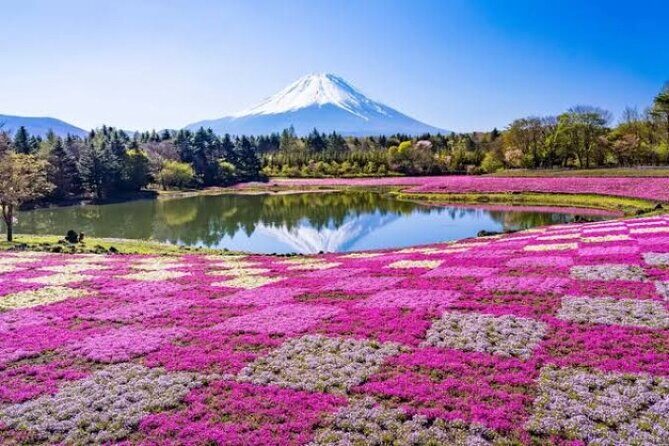 Mount Fuji and Hakone Private Tour by Car with Pickup from Tokyo - Key Points: