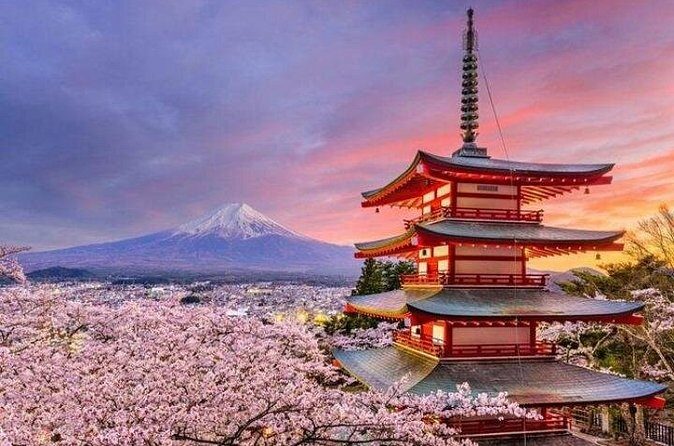 Mount Fuji and Hakone Private Tour by Car with Pickup from Tokyo - FAQs