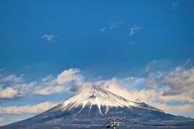 Mount Fuji and Hakone Private Tour with English Speaking Guide - An In-Depth Look at the Itinerary