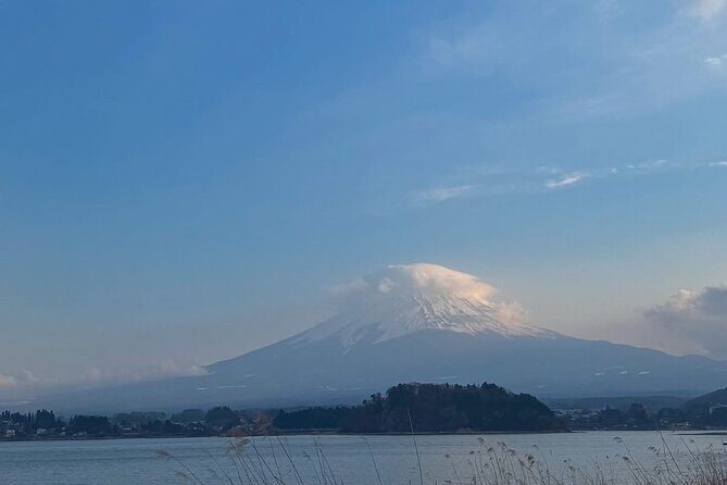 Mount Fuji and Hakone Private Tour with English Speaking Guide - Who Will Enjoy This Tour?