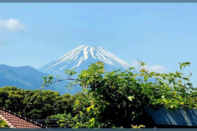 Mount Fuji and Hakone Private Tour with English Speaking Guide - Frequently Asked Questions