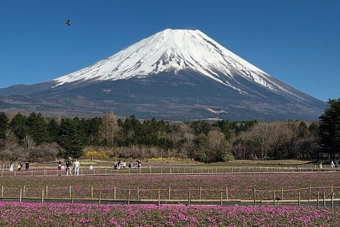 Mount Fuji and Hakone Private Tour with English Speaking Guide - The Sum Up