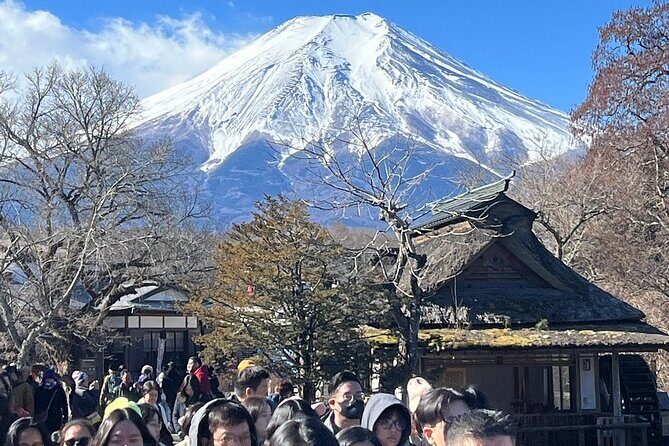 Mount Fuji and Hakone Private Tour With Pick And Drop - Key Points