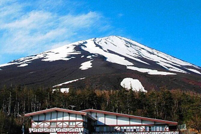 Mount Fuji and Hakone Private Tour With Pick And Drop - The Experience from the Reviews