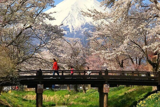 Mount Fuji and Hakone Private Tour With Pick And Drop - Why Choose This Tour?