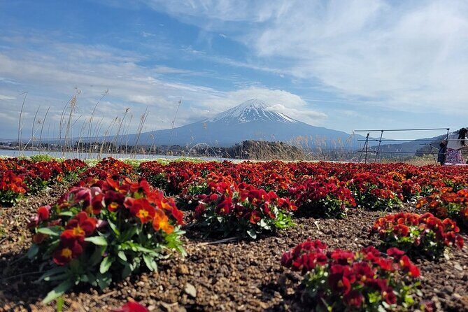 Mount Fuji and Hakone Private Tour With Pick And Drop - Frequently Asked Questions (FAQs)