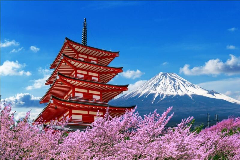 Mount Fuji and Hakone Tour with Personal Driver & Transport - In-Depth Review of the Tour Experience