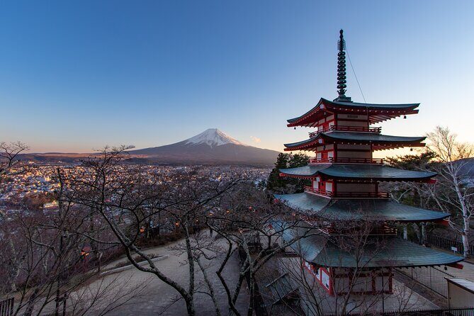 Mount Fuji and Lake Kawaguchi Private Day Trip From Tokyo - What’s Included and What to Consider