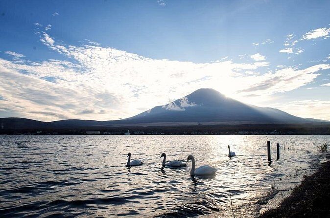Mount Fuji and Lake Kawaguchi Private Day Trip From Tokyo - FAQ