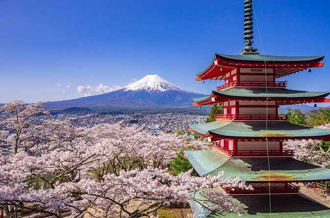 Mount Fuji Customize Private Day Trip with Driver From Tokyo. - Who Should Consider This Tour?