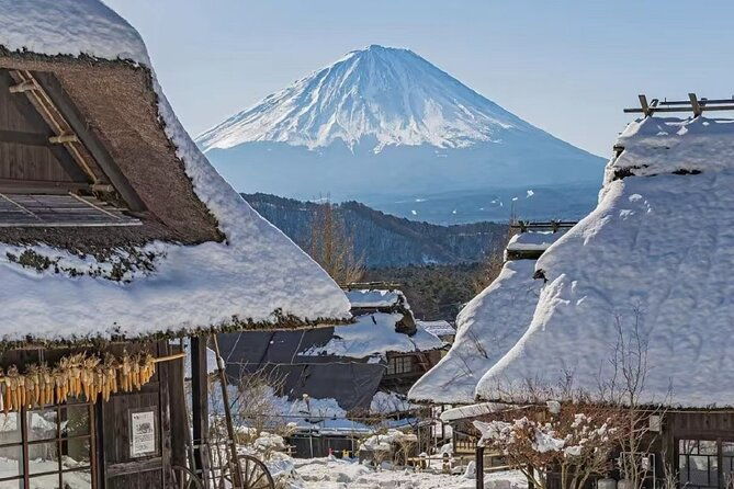 mount-fuji-day-tour-on-scenic-lakes-and-oshino-hakkai-adventure