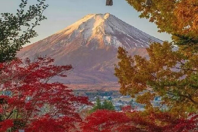 mount-fuji-day-tour-on-scenic-lakes-and-oshino-hakkai-adventure