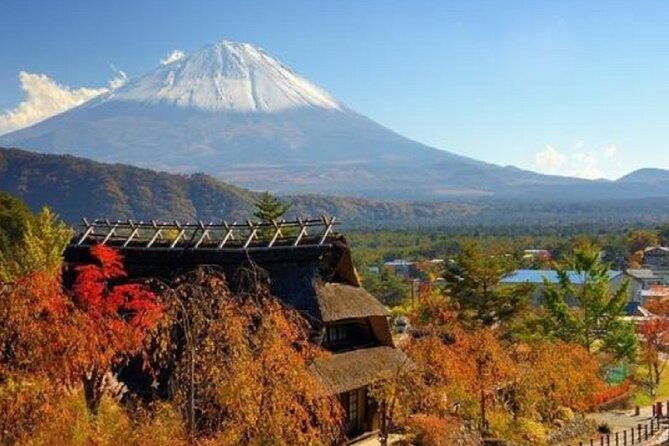 mount-fuji-day-tour-on-scenic-lakes-and-oshino-hakkai-adventure