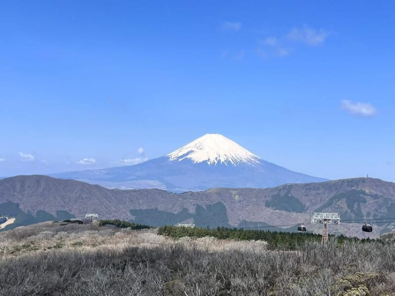 Mount Fuji Day Tour with English Speaking Driver - Key Points  