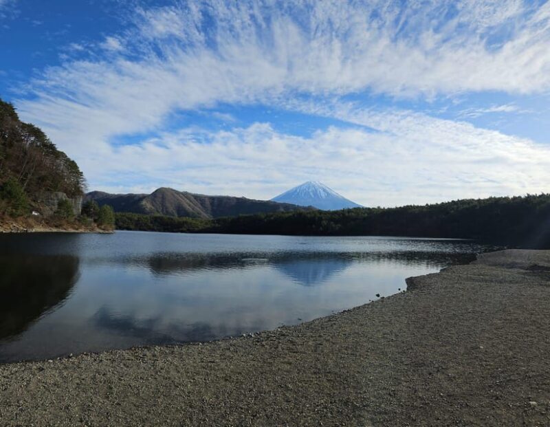Mount Fuji Day Tour with English Speaking Driver - Final Thoughts: Who Is This Tour Best For?  
