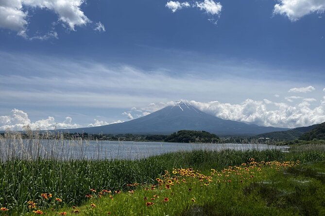mount-fuji-day-trip-around-lake-kawaguchiko