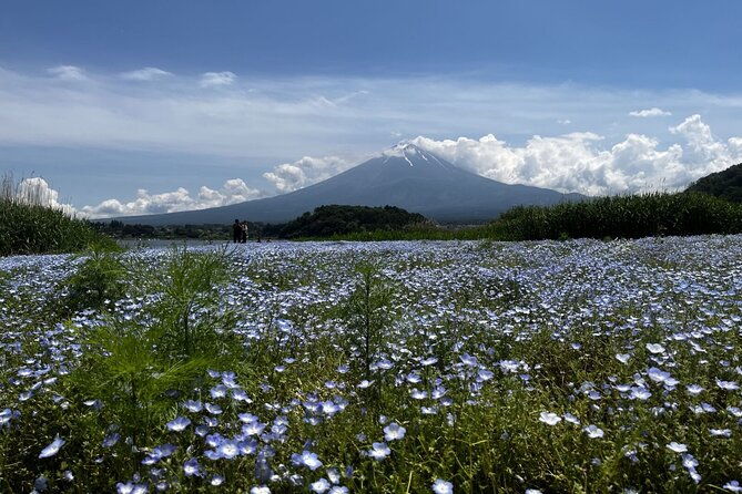 mount-fuji-day-trip-around-lake-kawaguchiko