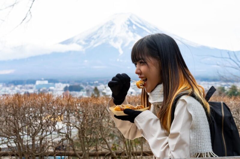 Mount Fuji: Exclusive Private Car Tour - Pricing and Value