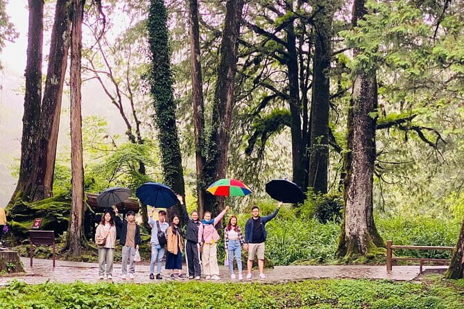 Mount Fuji Flower Viewing Limited Gotemba Outlet Tour - Key Points