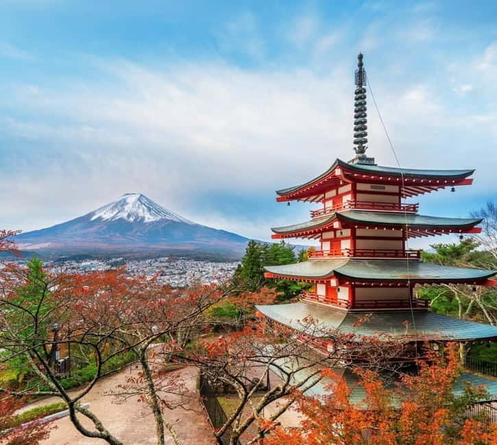 Mount Fuji Full-Day Private Customizable Tour From Tokyo - Authentic Experiences from Other Travelers