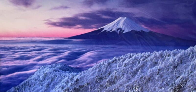 Mount Fuji Full-Day Private Customizable Tour From Tokyo - Final Thoughts