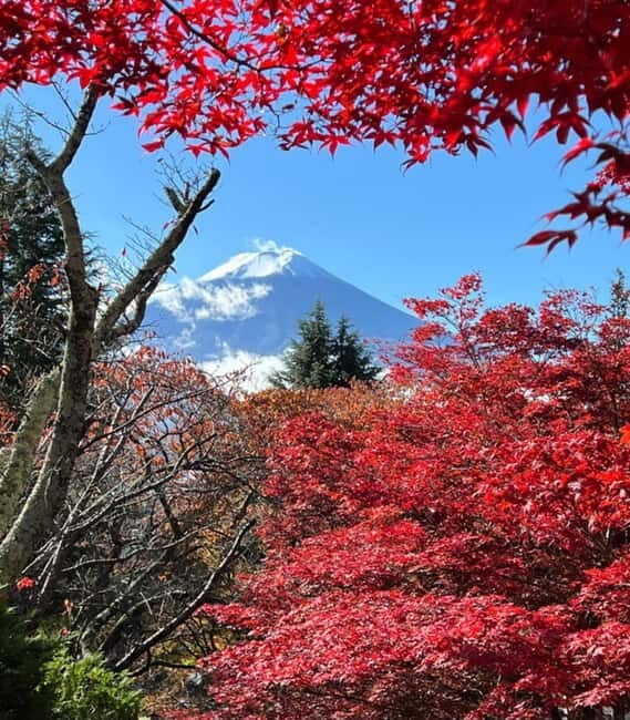 Mount Fuji Full-Day Private Customizable Tour From Tokyo - FAQ