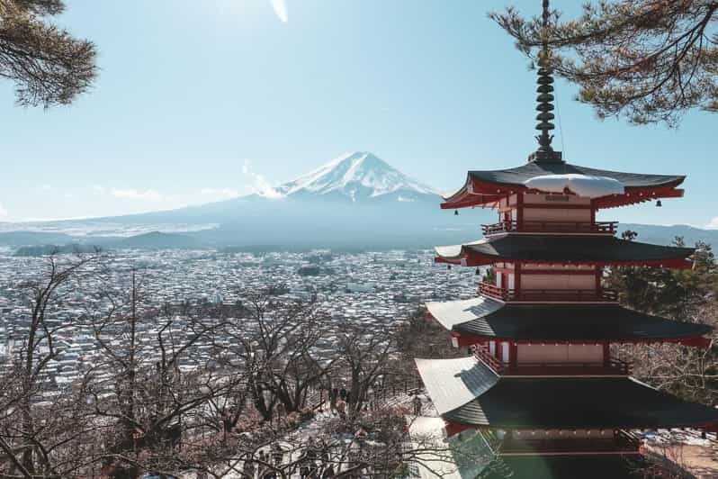 Mount Fuji Full-Day Private Sightseeing Tour with Guide - Why Opt for This Tour?  