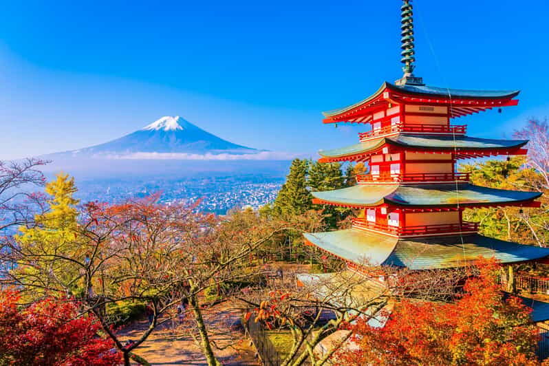 Mount Fuji Full-Day Private Tour from Tokyo (Customizable) - Key Points