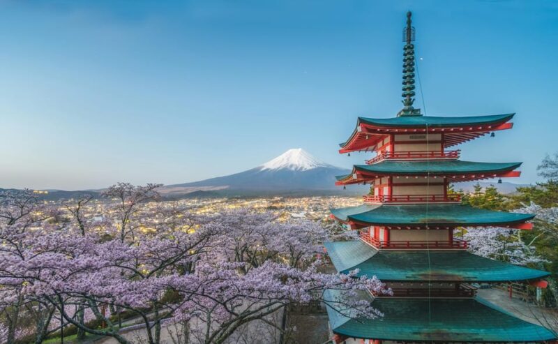 Mount Fuji Full-Day Private Tour from Tokyo (Customizable) - An In-Depth Look at the Experience