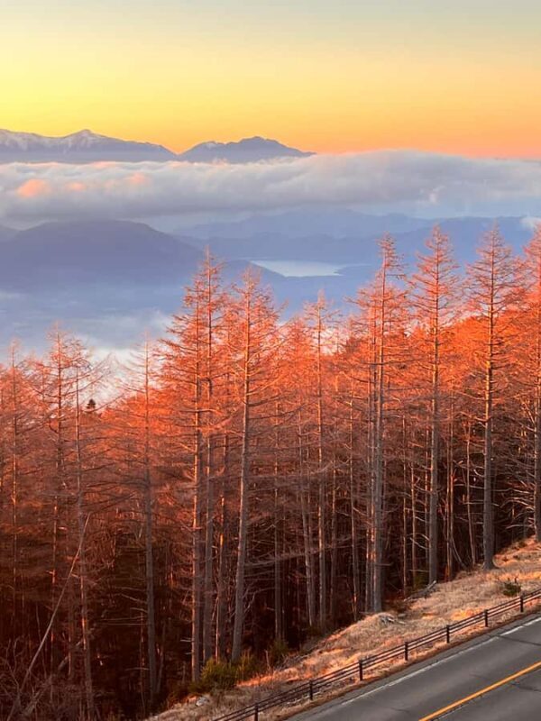 Mount Fuji Full-Day Private Tour from Tokyo (Customizable) - The Sum Up