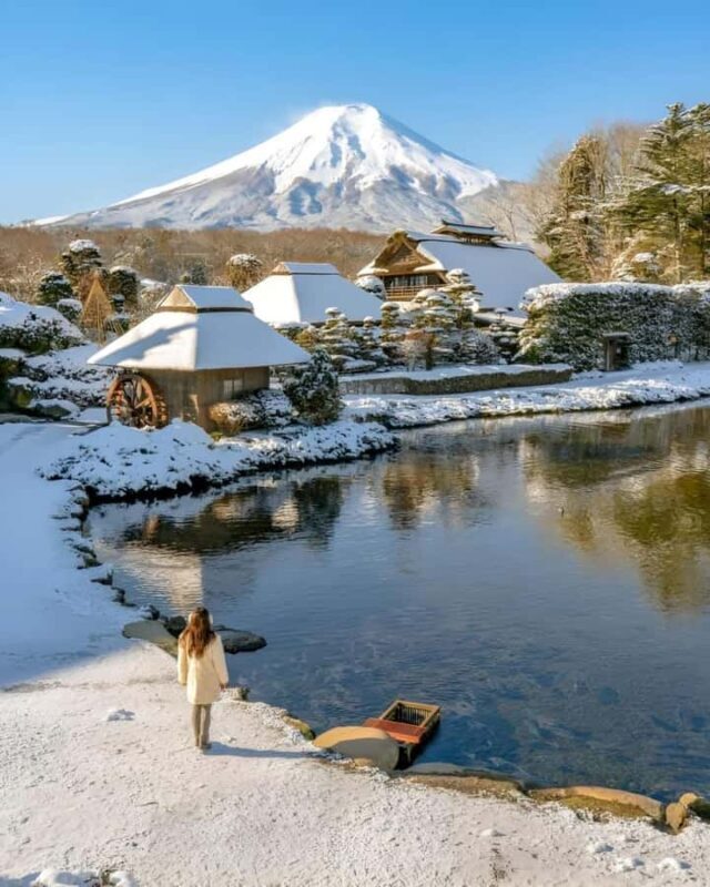 Mount Fuji Full Day Private Tour From Tokyo (Customizable) - Key Points