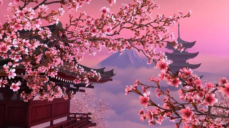 Mount Fuji Full Day Private Tour From Tokyo (Customizable) - Starting Point: Seamless Pickup & Luxury Comfort